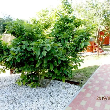 Luca Apartman Szálloda